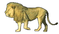 the lion